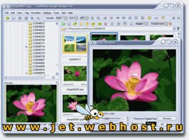 FastStone Image Viewer v.3.1 Beta 1 FastStone Image Viewer v.3.1 Beta 1