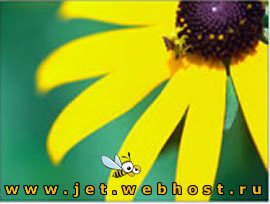 Vista Wallpapers Vista Wallpapers