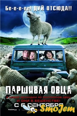 Паршивая овца / Black sheep