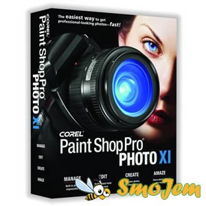 corel paintshop pro x 10.10