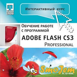Интерактивный курс. Adobe Flash CS3 Professional