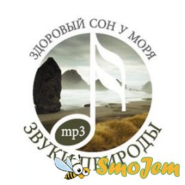 Звуки природы. Здоровый сон у моря