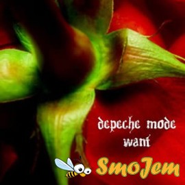 Depeche Mode - Want