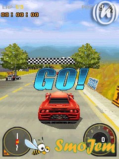 Race Driver GRID 3D