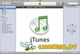 iTunes 8.2