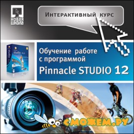 Интерактивный курс. Pinnacle Studio 12
