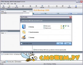 KLS Backup 2009 Professional