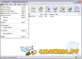 WinZip 14.0