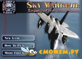 Sky Warrior