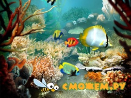 Tropical Fish 3D