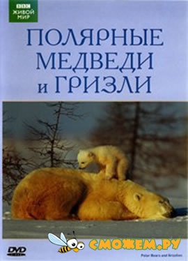 BBC: Живой мир. Полярные медведи и гризли / BBC: The Natural World. Polar bears & grizzlies - bears on top of the world