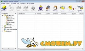 Internet Download Manager 5.19 + Портативная версия