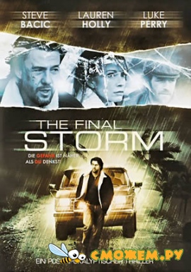 Беспощадный шторм / Final Storm