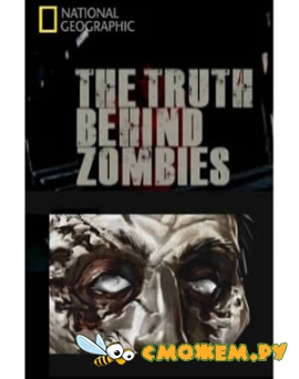 Правда о зомби / The truth behind zombies