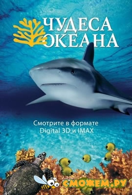 Чудеса океана / Ocean Wonderland