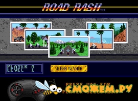 Road Rash (Sega)