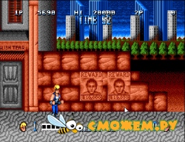 Double Dragon (Sega)