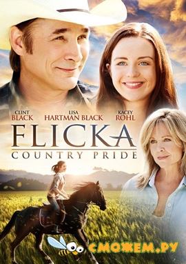 Флика 3 / Флика: гордость страны / Flicka: Country Pride