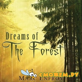 Marc Enfroy - Dreams Of The Forest