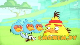 Мультфильм Angry Birds Toons (Все серии + Бонусы)