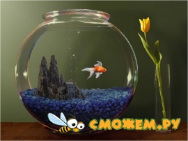 Goldfish Aquarium Screensaver v2.0 + серийник