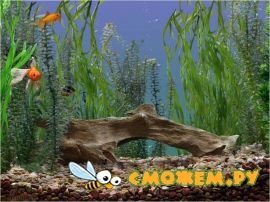 Goldfish Aquarium Screensaver v2.0 + серийник