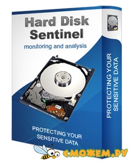Hard Disk Sentinel Pro 5.50 + ключ