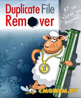 Duplicate File Remover 3.8 + Ключ