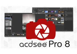 Русификатор ACDSee Pro 8