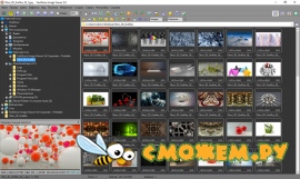 FastStone Image Viewer 7.4 + Ключ