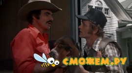 Полицейский и бандит / Smokey and Bandit