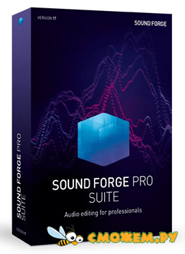 MAGIX Sound Forge Pro Suite 17 + Ключ