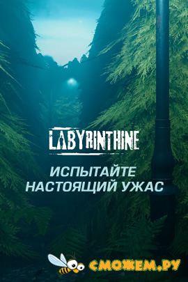 Labyrinthine + Онлайн фикс