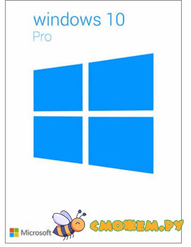 Microsoft Windows 10 PRO (22H2) + Ключ (Лицензия) (Июнь 2025)
