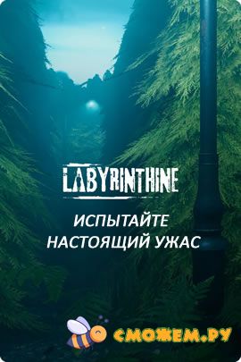 Labyrinthine