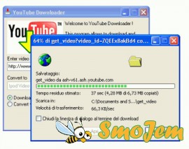 BienneSoft YouTube Downloader v.2.1