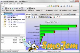 TreeSize Professional v4.3.2.335