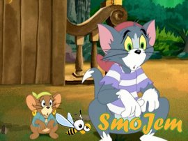 Том и Джери против Карибских пиратов / Tom and Jerry: Shiver Me Whiskers