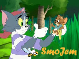 Том и Джери против Карибских пиратов / Tom and Jerry: Shiver Me Whiskers