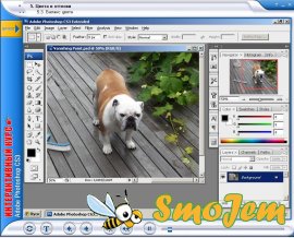 Интерактивный курс Adobe Photoshop CS3