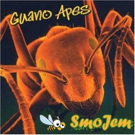 Guano Apes (Все альбомы 1997-2006)