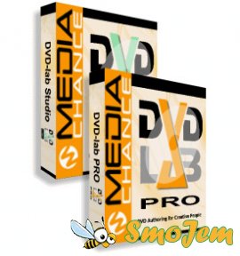 DVD-lab Pro 2.4 Русская версия