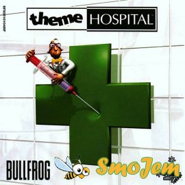 Theme Hospital