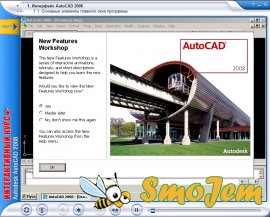 Интерактивный курс. Autodesk AutoCad 2008