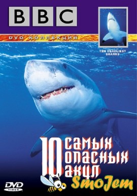 BBC: 10 самых опасных акул / Ten Deadliest Sharks